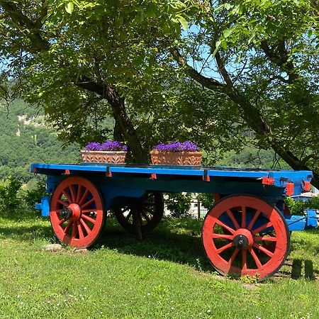 Agriturismo Popolano Di Sotto Marradi Εξωτερικό φωτογραφία