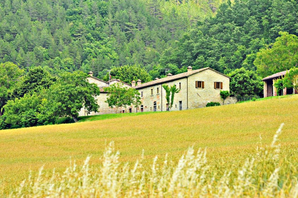 Agriturismo Popolano Di Sotto Marradi Εξωτερικό φωτογραφία