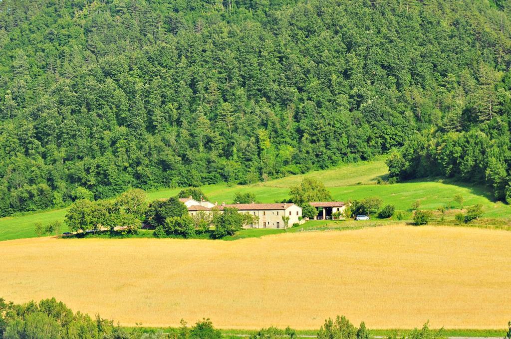 Agriturismo Popolano Di Sotto Marradi Εξωτερικό φωτογραφία