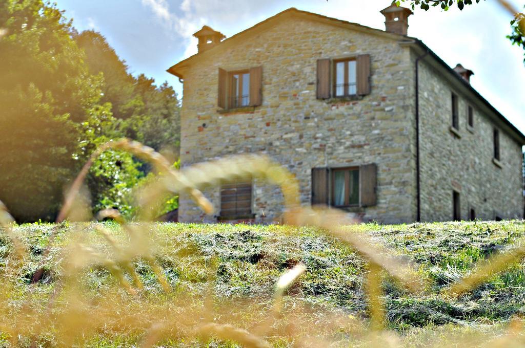 Agriturismo Popolano Di Sotto Marradi Εξωτερικό φωτογραφία
