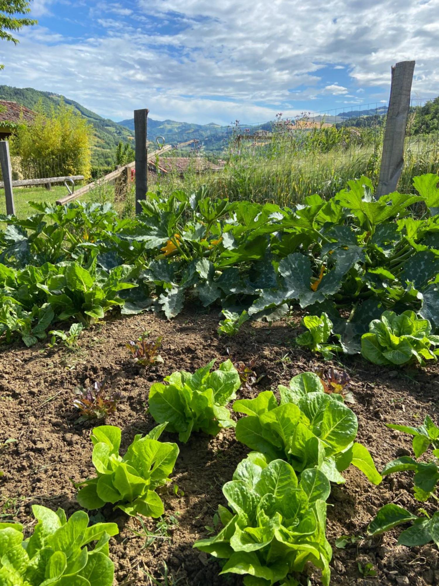 Agriturismo Popolano Di Sotto Marradi Εξωτερικό φωτογραφία