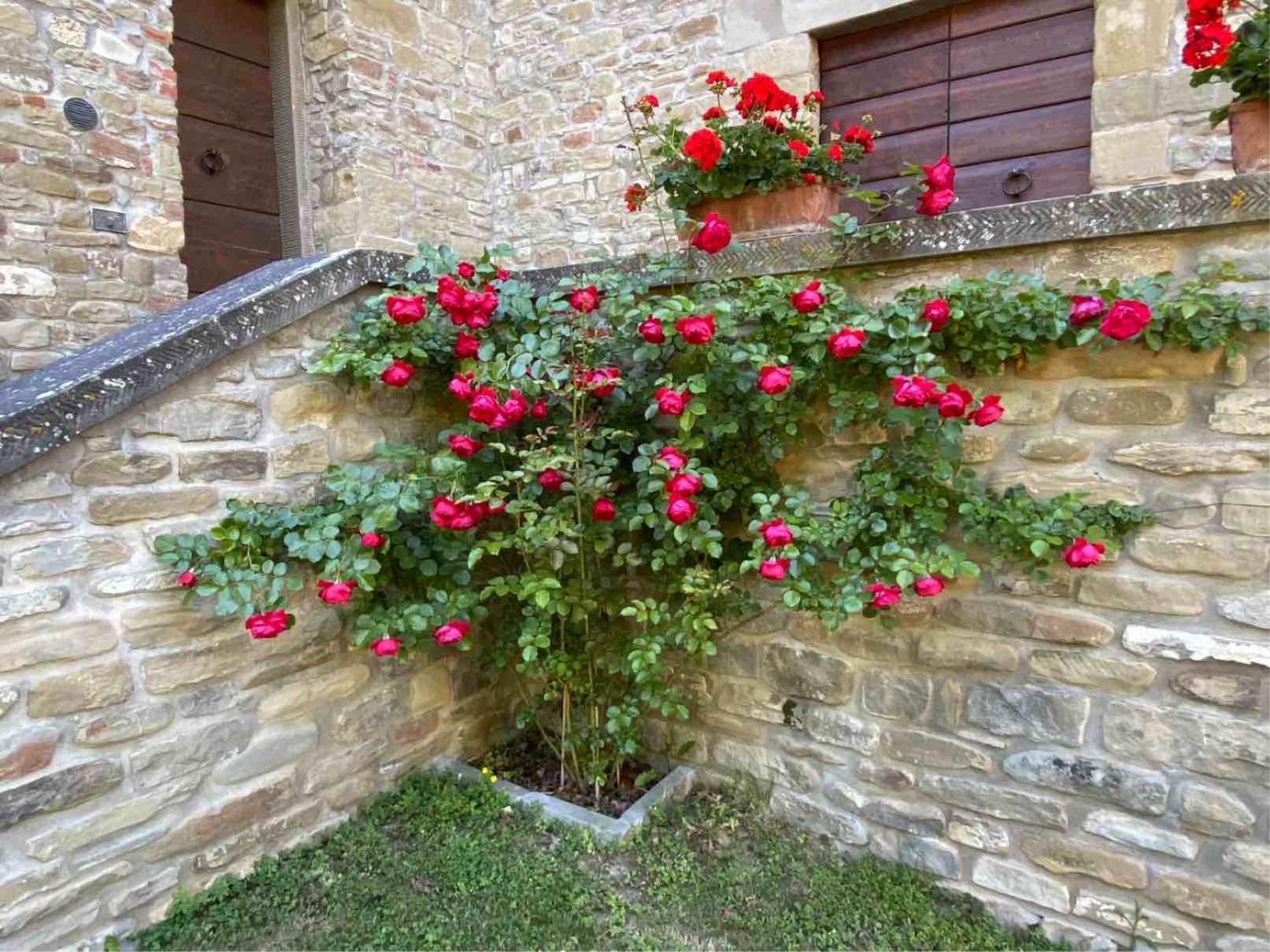 Agriturismo Popolano Di Sotto Marradi Εξωτερικό φωτογραφία