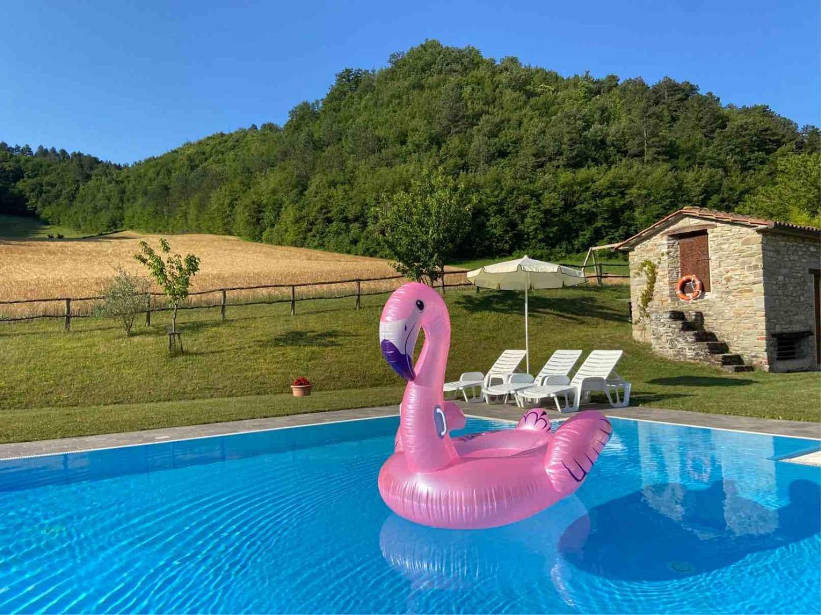 Agriturismo Popolano Di Sotto Marradi Εξωτερικό φωτογραφία