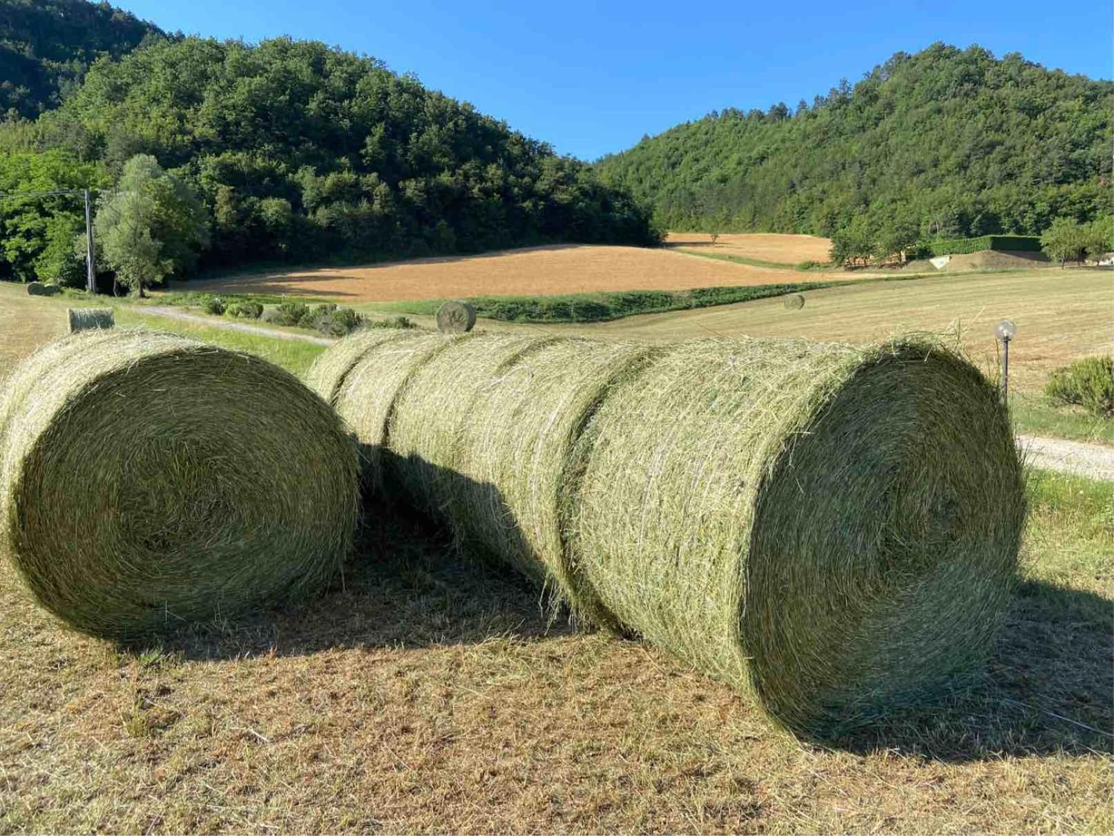 Agriturismo Popolano Di Sotto Marradi Εξωτερικό φωτογραφία