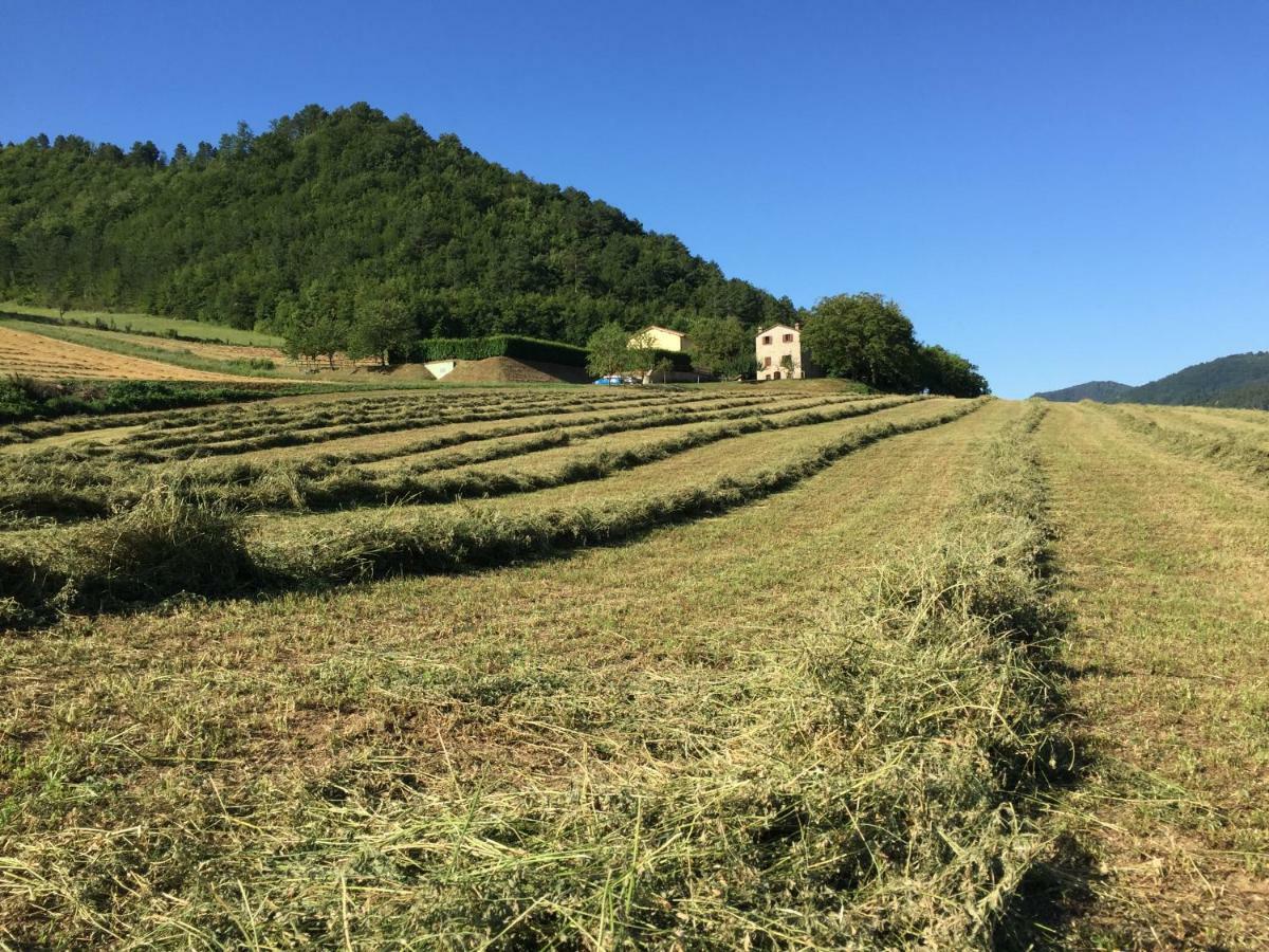 Agriturismo Popolano Di Sotto Marradi Εξωτερικό φωτογραφία